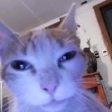 Новости Криминальной России