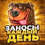 Заносы Каждый День