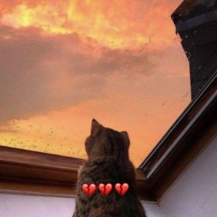 она 10/10, но её улыбка это крик о помощи ❤️‍🩹