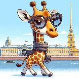 Анонсы встреч ННО в Питере