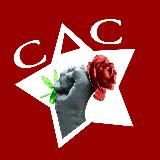 Социум (СДС)