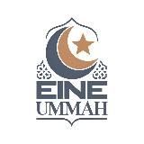 Das Licht des Wissens☀️