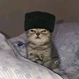 Перезагрузка