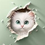 Тесты и точка.