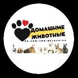 Домашние животные Москва. Кошки, собаки, птицы