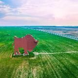 National Belographic