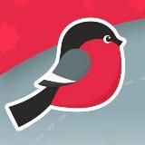 Калининка онлайн