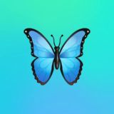 Бабочка - чат