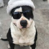 Микс Фруктовый 🧊