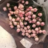 Цветы для сторис💐