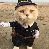 Опросничек Ru