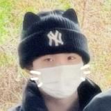 серые ромашки