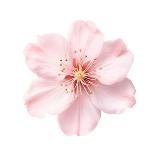 lina beauty 🧘🏻♀️