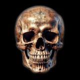 BRLMLX78 (Коменты)