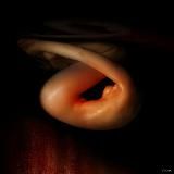 Пошлые истории