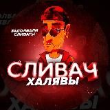 Сливач Халявы’