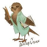 Доктор Стриж