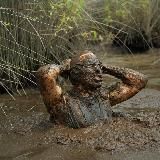 Беларуская Палітота