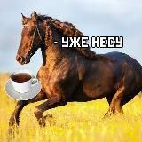 КоньЧаю🐴