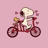 Кто такая Ванесса Рысь?