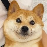 二狗福利站🔞抖音/快手/花椒/定制