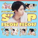 ୨🏝️𝗺𝗲𝗼𝘄 𝗺𝗲𝗼𝘄 𝘀𝗵𝗼𝗽🐠୧