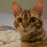 Мастерская Смеха 🌿