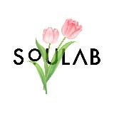 soulab.brand