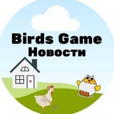 Birds Game News ⛪️