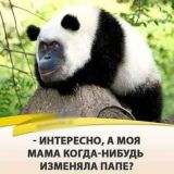 Злобная Циничка - Юмор без границ