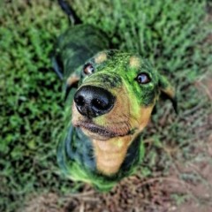 ᴛᴀᴋᴄиᴄᴛ