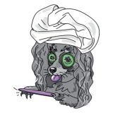 Loft-Dog Pro груминг