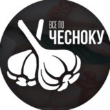 AMERICAN BETS | Ставки на хоккей