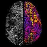 Цаликова на паузе :)