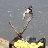 Гумбетовцы