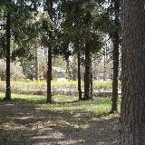 Санаторий "Клязьма"