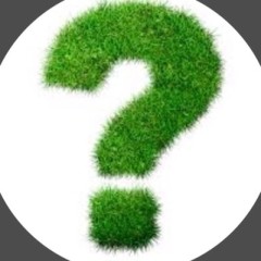 Викторины MJ