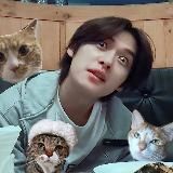 кто такая фиджи?🩸