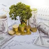 Мир криптовалют