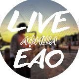 🎪 Афиша - LIVE DV