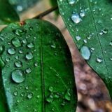 Страна утренней свежести🌱