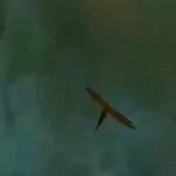 ℌ𝔬𝔤𝔴𝔞𝔯𝔱𝔰 𝔰𝔠𝔥𝔬𝔬𝔩🤍📰