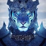 Yo Soy; Guardiana de la luz Blanca,🤍 🟣 Sacerdotisa del Divino Femenino ✨❤️🔥✨⚖️✨💜✨