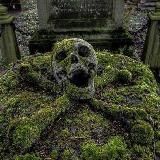 Джунгли | Заброшенный мир