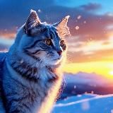 Синий рассвет