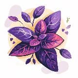 BASILIK 🌱 Рецепты