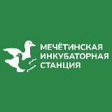 Мечётинская инкубаторная станция