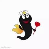 🩸Хиджама & Гирудотерапия🩸