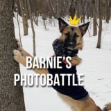 BARNIOLIVIE.GAMES CHAT