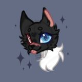 ♡—Night Star Artist—♡